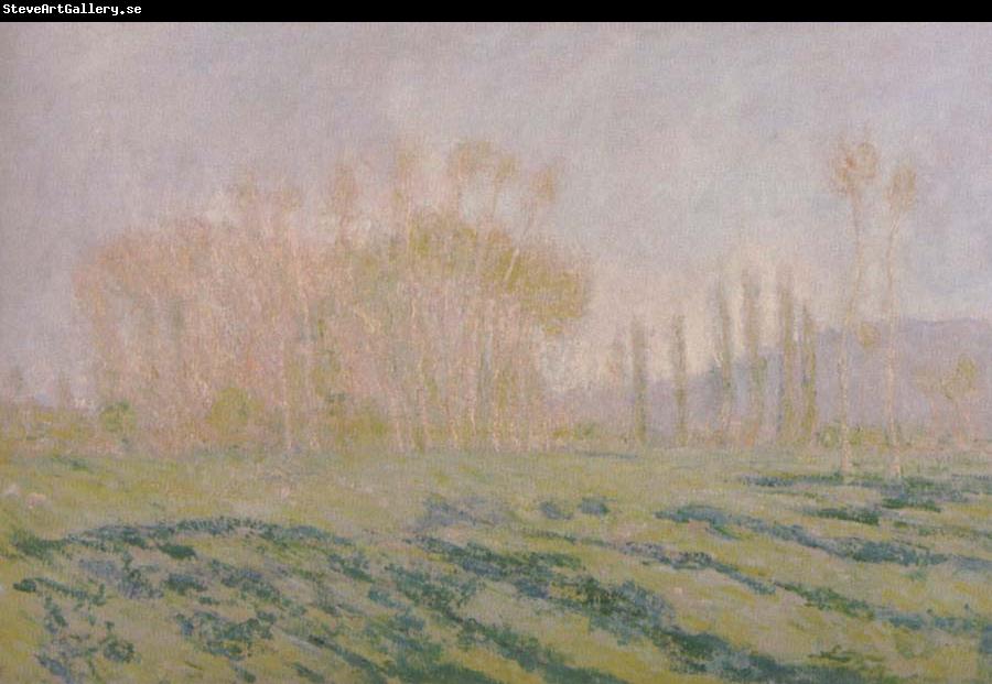 Claude Monet Tree in  Winter,View of Bennecourt